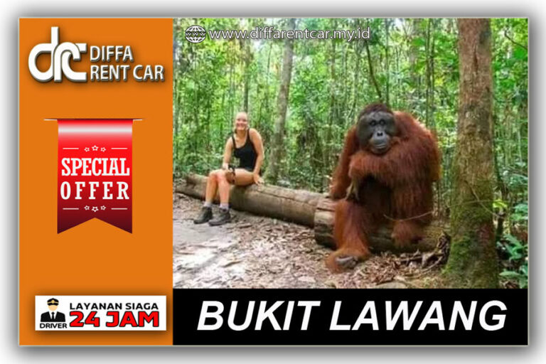 BUKIT LAWANG